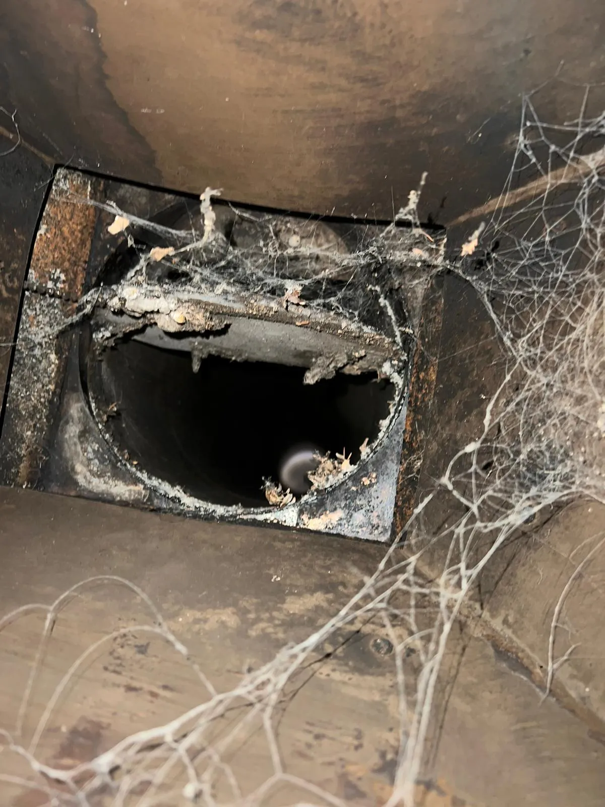 Chimney Services company